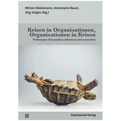 Krisen in Organisationen, Organisationen in Krisen, Fachbücher