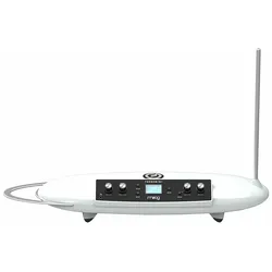 Moog Theremini - Synthesizer