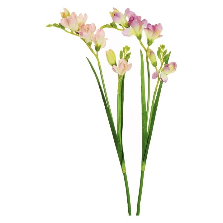 zz_archiviert_Nenurodyta Kunstblume, Freesie, rosa/lila, 59 cm (59 cm) (77170848)