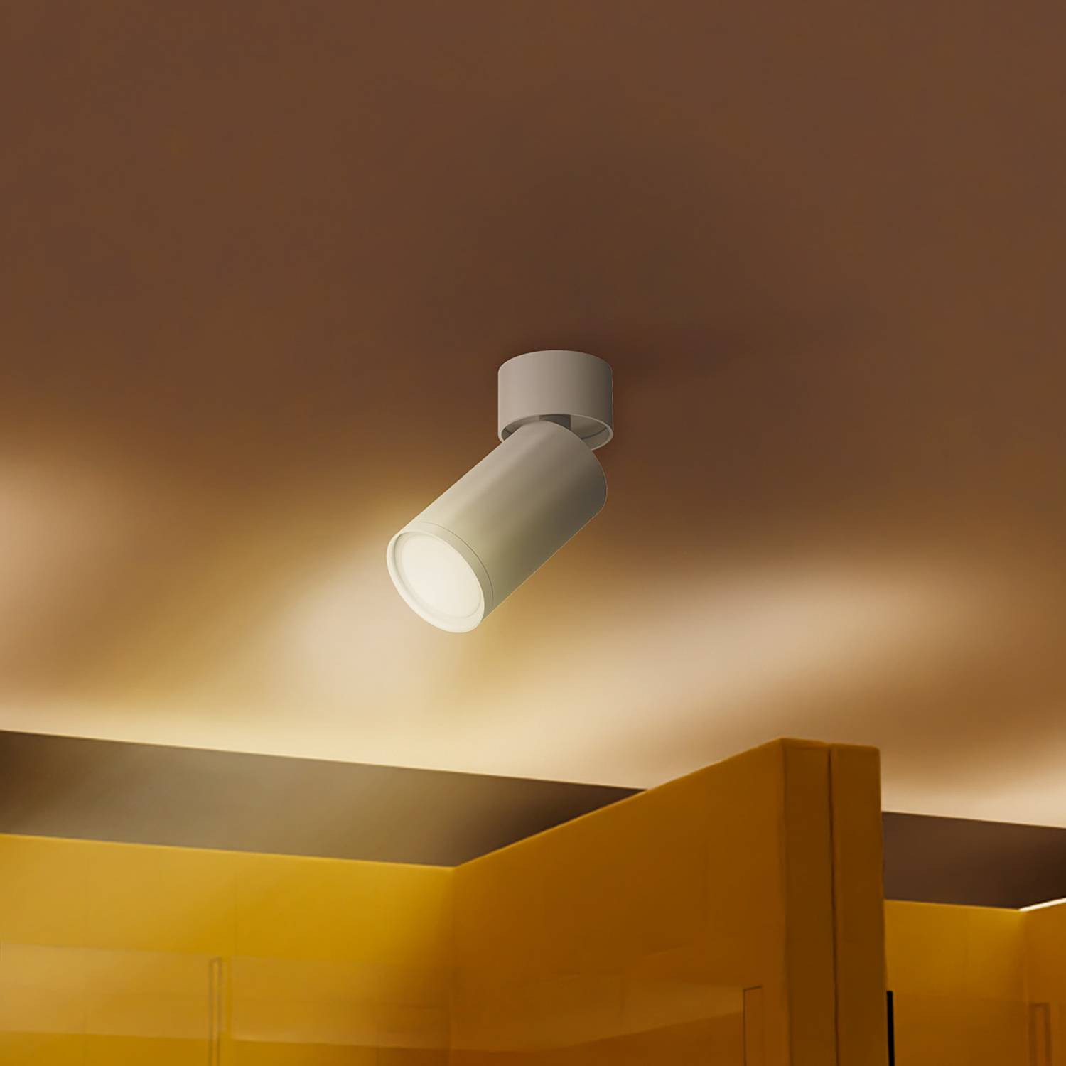 home24 Plafondlamp Focus S type D wit aluminium GU10