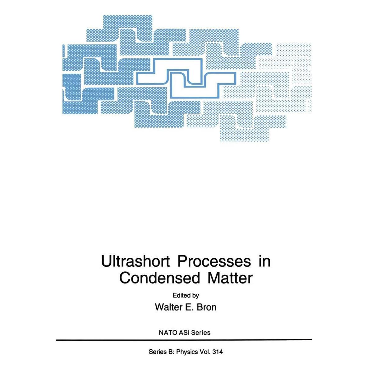 Springer Ultrashort Processes in Condensed Matter (Englisch, Hardcover, Walter E. Bron) (9780306445743)