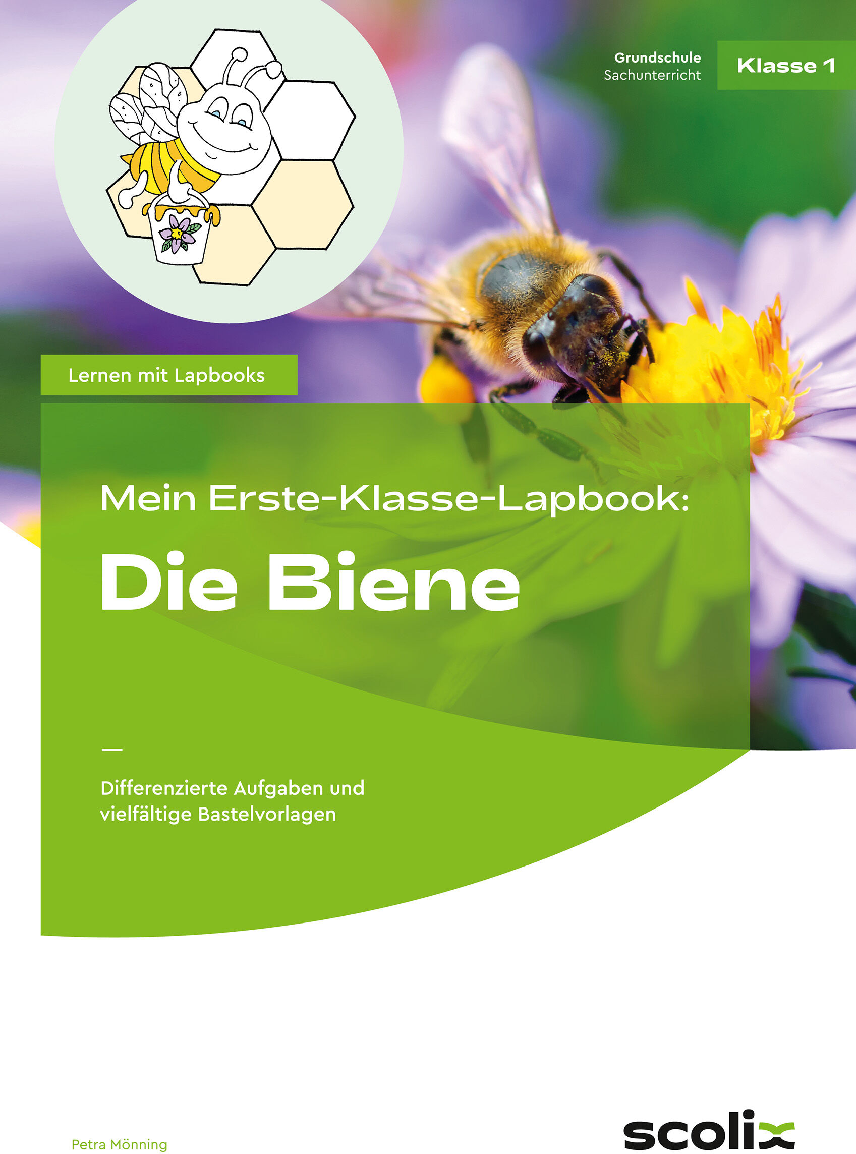 scolix (AOL-Verlag) Mein Erste-Klasse-Lapbook: Die Biene