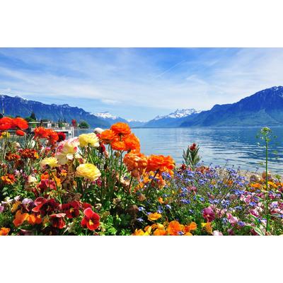 Fototapete PAPERMOON "Bergsee", bunt, B:4,5m L:2,8m, Vlies, Tapeten