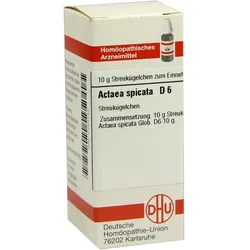 ACTAEA SPICATA D 6 Globuli 10 g Globuli