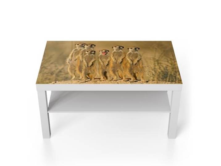 DEQORI Glastisch weiß groß 90x50 cm Motiv Wachsame Freunde ausgefallener Beistelltisch aus Glas Hochglanz Couchtisch fürs Wohnzimmer moderner Couch Tisch mit Design