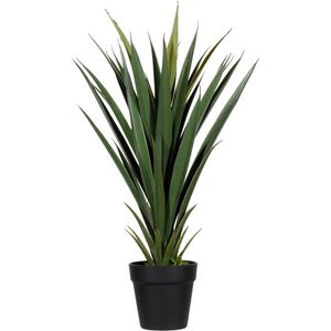 meet-powered-by-PAPERFLOW Kunstpflanze Yucca, Kunstpalme im Topf, mit Palmenblättern, Höhe 60 cm