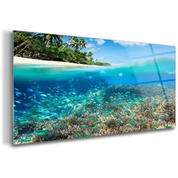 GLASBILD 140x70 cm Meereskorallenriff