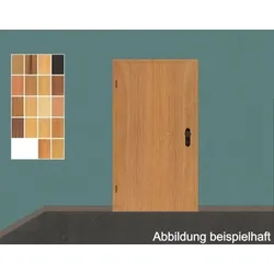 Schörghuber T30-1 Holz Brandschutztür/ Feuerschutztür 3.00 mit Holzzarge