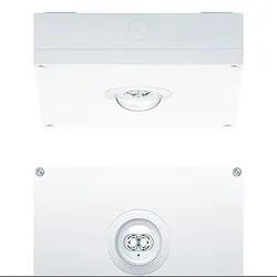 Zumtobel Group Sicherheitsleuchte RESCLITE #42185764
