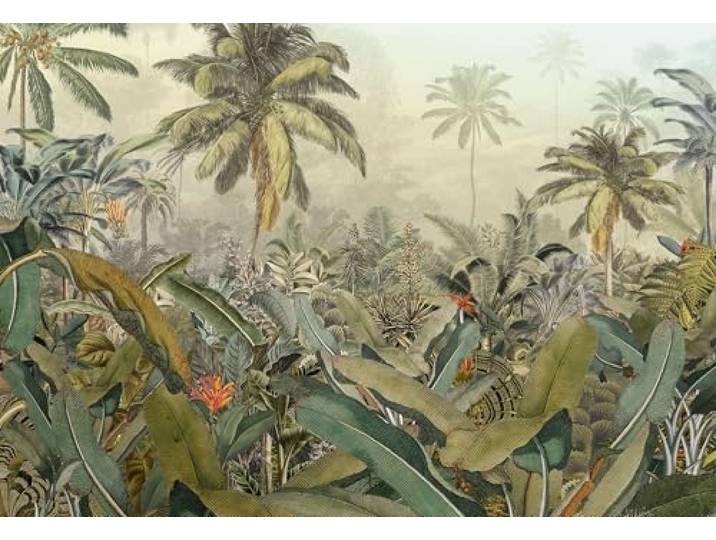 Komar XXL4-063 Photo Murale\, Amazonia\, 368cm x 248cm