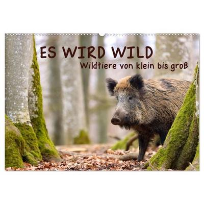 ES WIRD WILD Wildtiere von klein bis groß (Wandkalender 2027 DIN A2 quer), CALVENDO Monatskalender