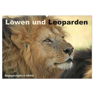 Löwen und Leoparden - Begegnungen in Afrika (Wandkalender 2027 DIN A2 quer), CALVENDO Monatskalender