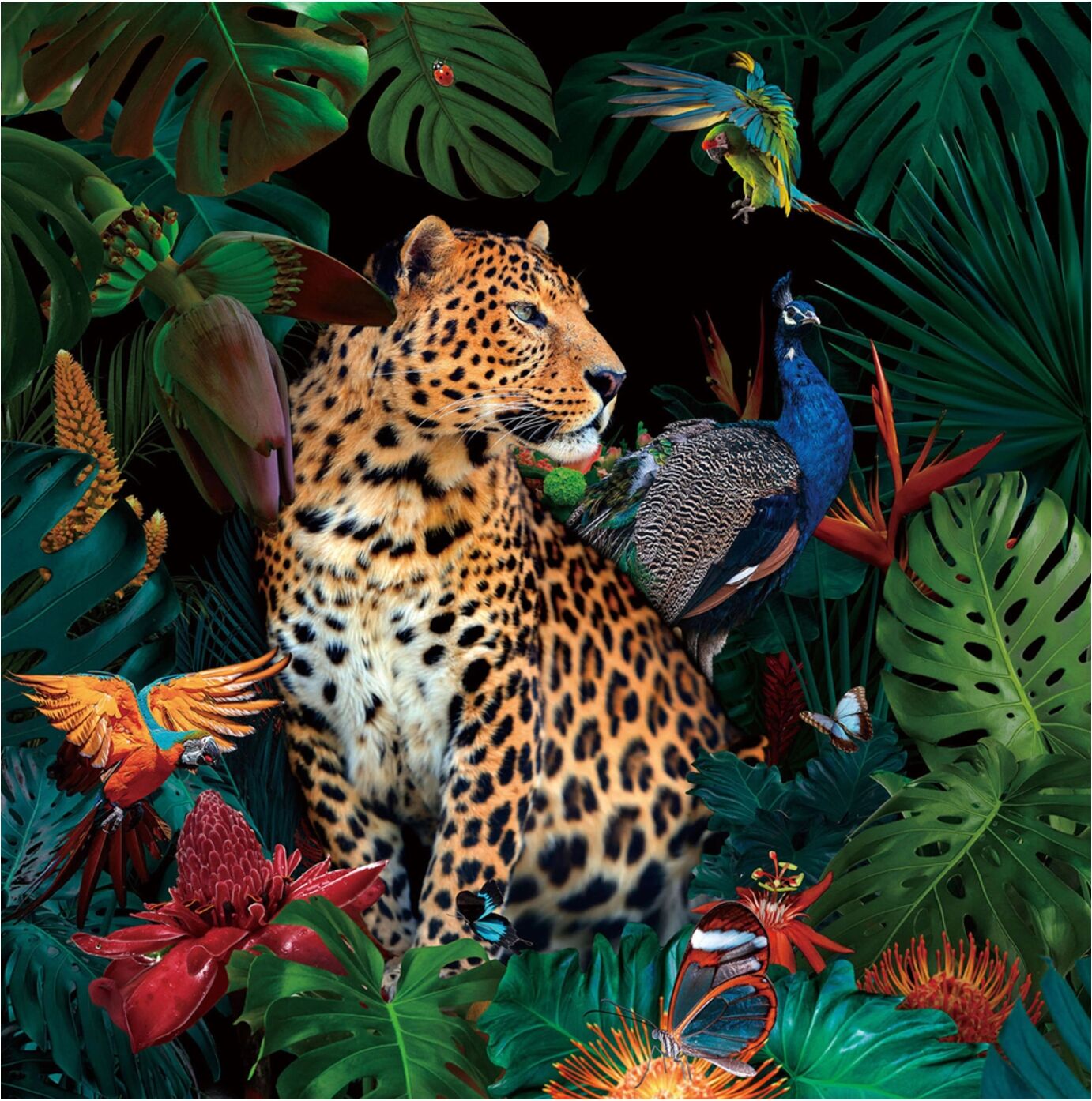 image LAND Jaguar im Dschungel