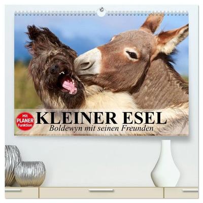 Kleiner Esel. Boldewyn mit seinen Freunden (hochwertiger Premium Wandkalender 2027 DIN A2 quer), Kunstdruck in Hochglanz