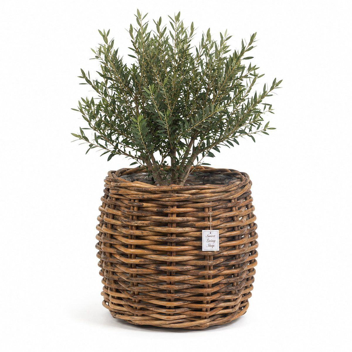 Rotan plantenmand Wander - Ø42 x H50 cm - Ronde plantenmand