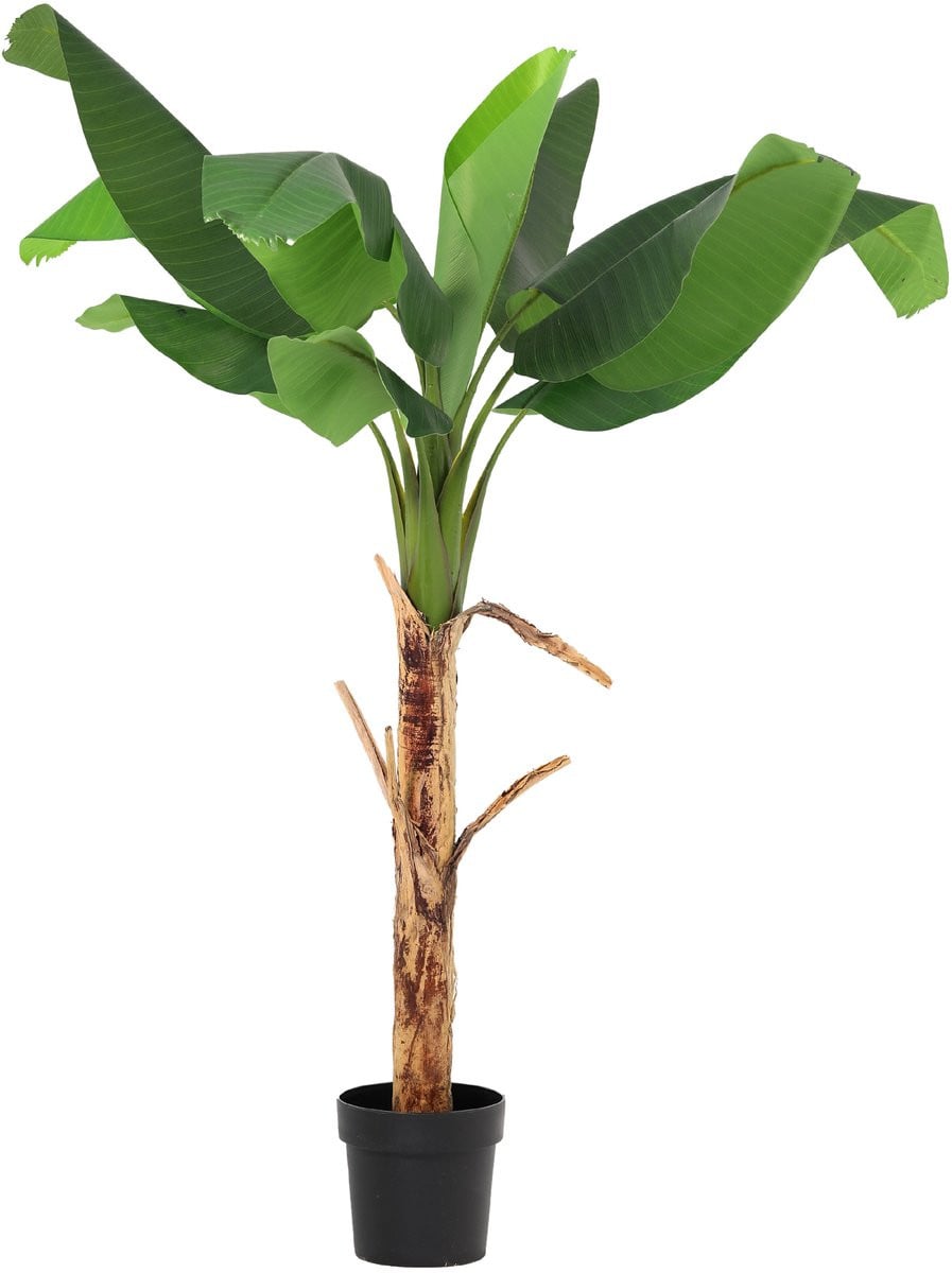 Florafy Kunstplant Bananenplant 150 cm - Groene kunstplant voor binnen