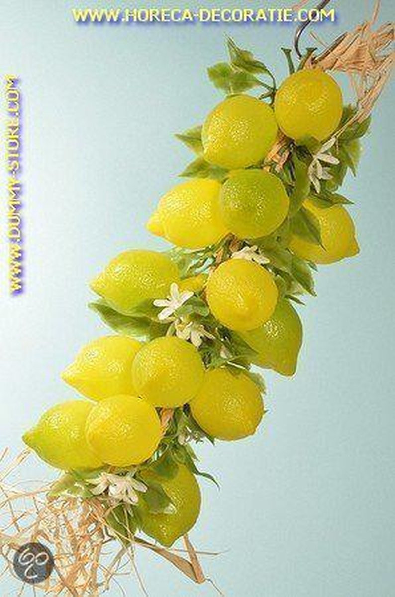 MilaNNE Citroenen, grote streng, 20 stuks (decoratie)