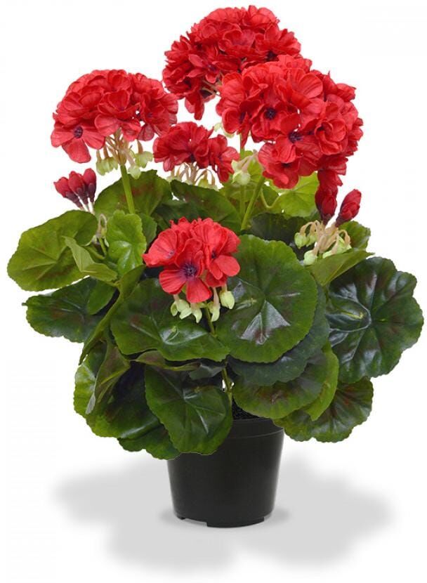 Kunstblume BOTANIC-HAUS "Geranien in Topf 40 cm", rot, B:25cm H:40cm, Kunststoff, Kunstpflanzen, Kunstblume rot B/H/L: 25cm x 40cm