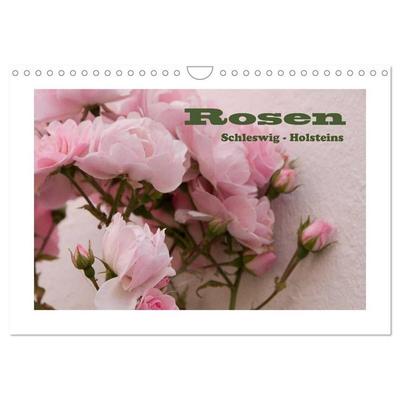 Rosen Schleswig-Holsteins (Wandkalender 2027 DIN A4 quer), CALVENDO Monatskalender