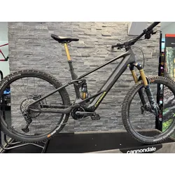 Orbea WILD M10 Myo / Leasingrückläufer 6100km