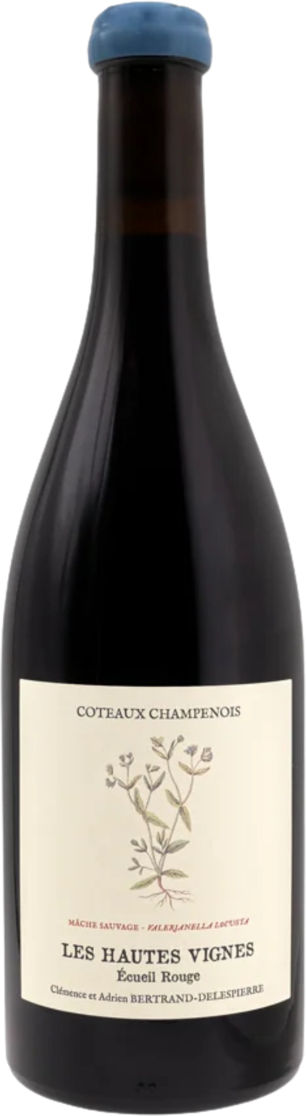 Bertrand-Delespierre Coteaux Champenois Rouge 'Les Hautes Vignes' 2016