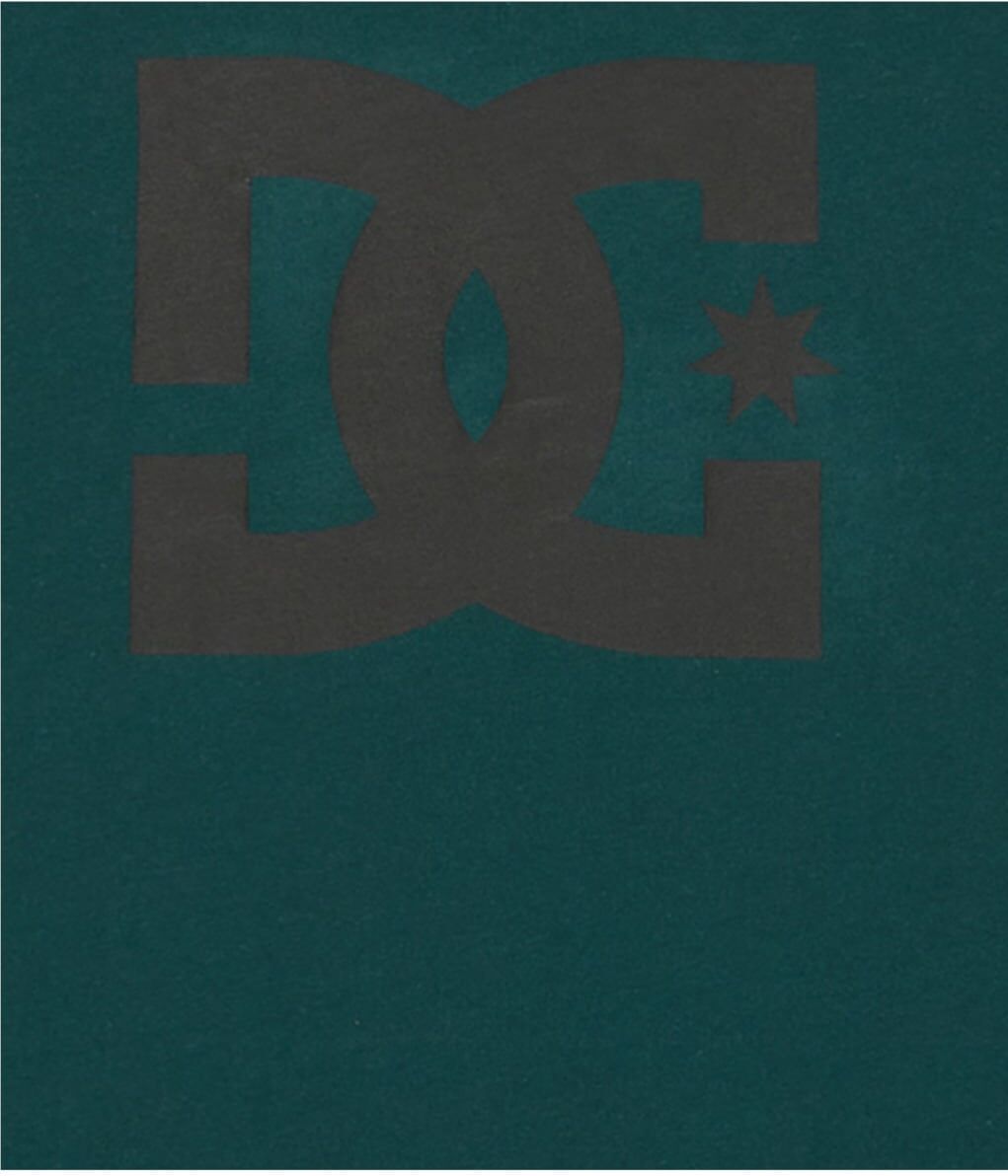 Langarmshirt DC SHOES "DC Star Hls", Herren, Gr. XL, grün (ponderosa pine), Obermaterial: 75% Baumwolle, 25% Baumwolle., Shirts Langarmshirt