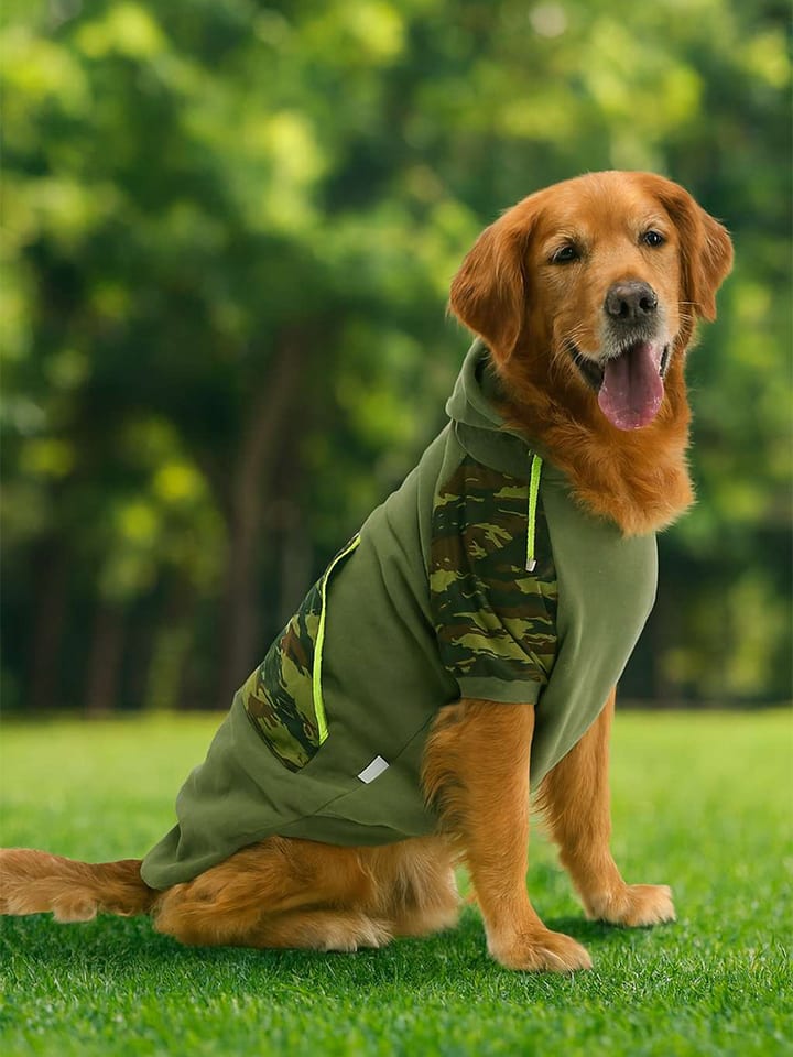 Paws&Whiskers Hundehoodie in Khkai - 3XL