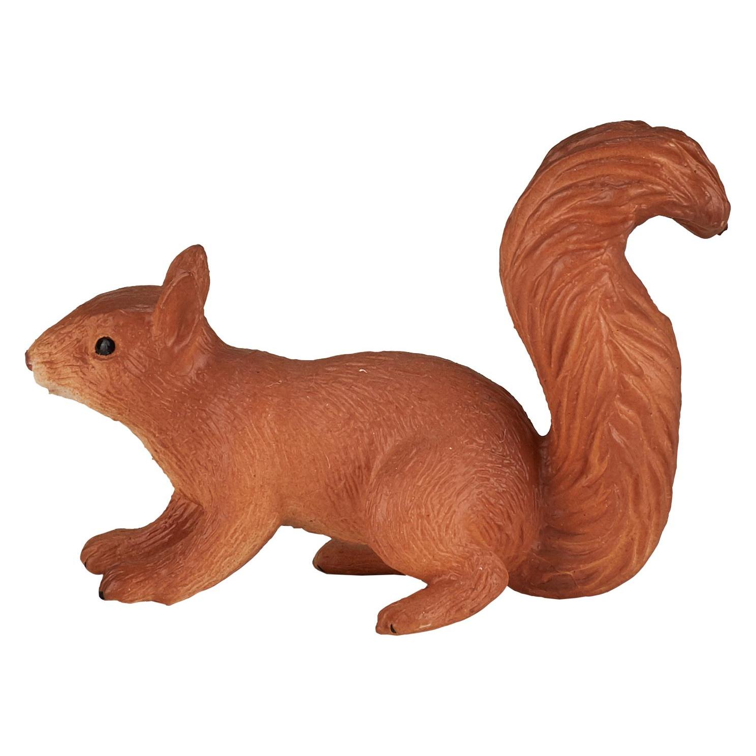 Animal Planet Eichhörnchen (387032)
