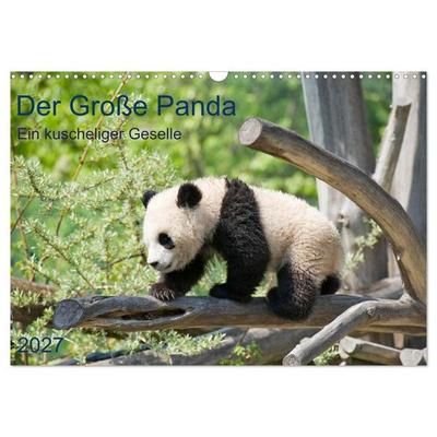 Der Große Panda Ein kuscheliger Geselle (Wandkalender 2027 DIN A3 quer), CALVENDO Monatskalender
