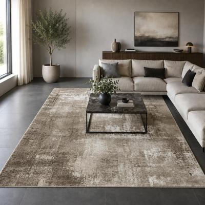 Paco Home Area Rug for Living Room with Abstract Paint Effect