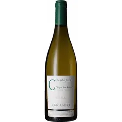 Côtes du Jura Chardonnay - Vigne des Voises 2023 - Jean Rijckaert