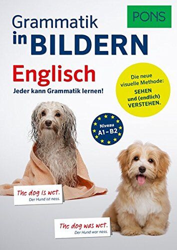 PONS Grammatik in Bildern Englisch: Jeder kann Grammatik lernen! - Preis vom 30.09.2026 09:01:18 h