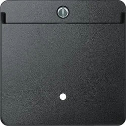 Merten Card-Schalter anth 315414