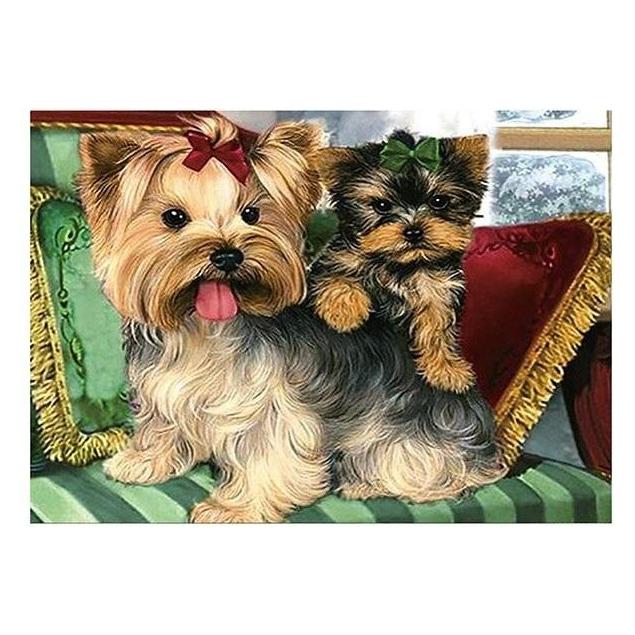 Norimpex 5D-Diamantmosaik - Yorkies 40x30cm (54613476)