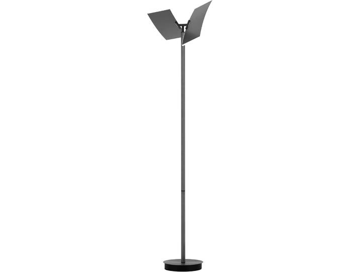 Stehlampe Twice anthrazit eloxiert Aluminium/Eisen 4700 lm Dimmbar H 185 cm - LED - Lichtfarbe: Extra warmweiss - Helles Neutralweiss - LED Energiesparlampen