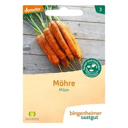 Möhre - Milan