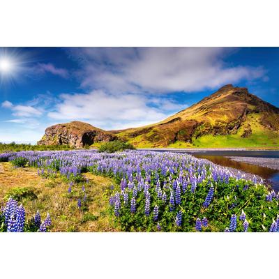 Fototapete PAPERMOON "BLUMEN LANDSCHAFT-SEE GEBIRGE BERGE LAVENDEL BLUME DEKO", bunt, B:5m L:2,8m, Vlies, Tapeten