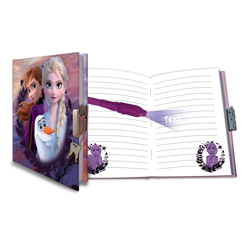 Euromic Disney Frozen Diary gift set with 80 sheets and magic pen (017204480)