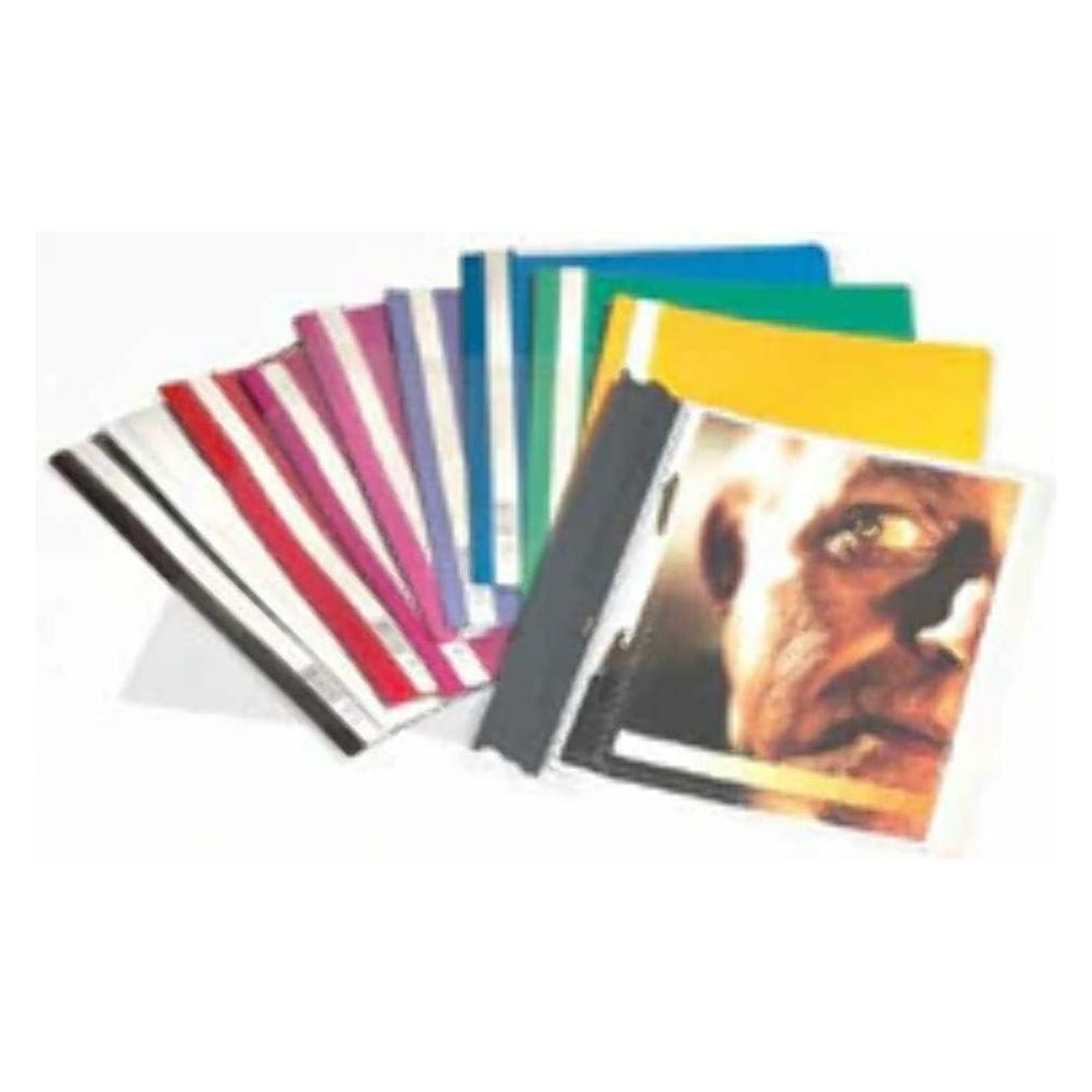 Durable SICHTHEFTER 50 ST 257006 (A4, 50x) (257006)