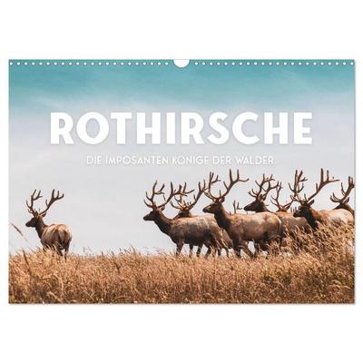 Rothirsche - Die imposanten Könige der Wälder. (Wandkalender 2026 DIN A3 quer), CALVENDO Monatskalender
