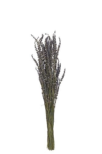 J-Line Bundel Paarse Gedroogde Lavendel
