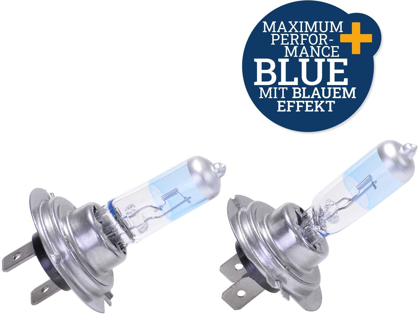 Filmer Glühlampe Halogenlampen H7 Blue Light Maximum Performance 16070
