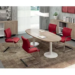Besprechungstisch oval modern Tymmo