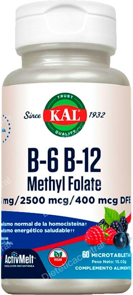 Solaray b6 b12 methyl folate 60 comp sublinguales