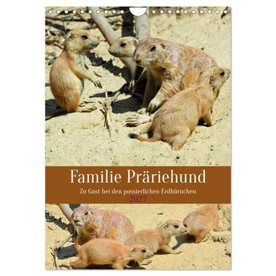 Familie Präriehund (Wandkalender 2027 DIN A4 hoch), CALVENDO Monatskalender