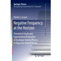 Negative Frequency at the Horizon, Fachbücher von Maxime Jacquet