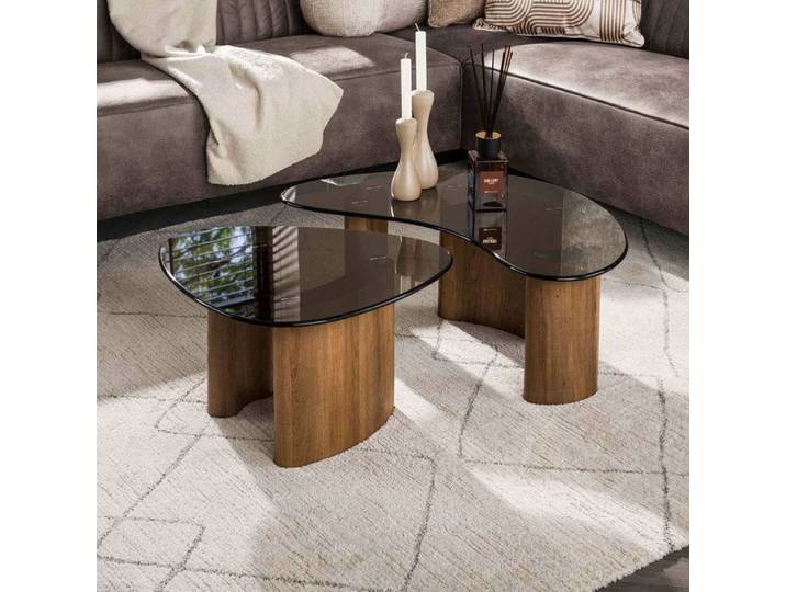 Lot de 2 tables basses organiques en verre fumé brun et bois