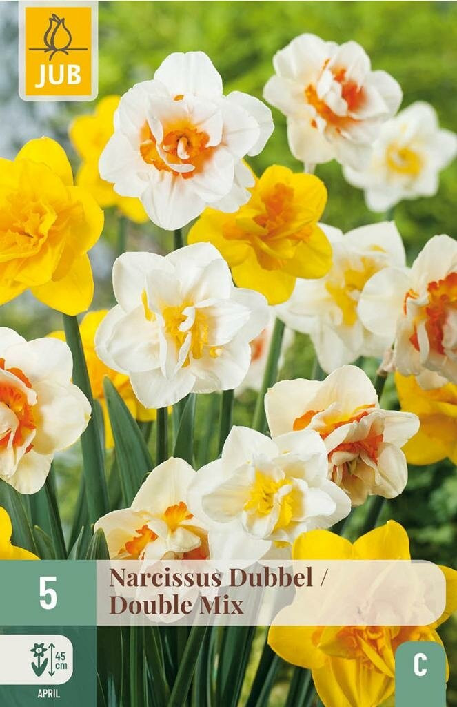 Jub Narcis dubbel mix 5 bollen