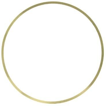 LEMA 19290.20 O-Ring, cylinder sleeve