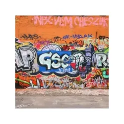 MIPA Graffiti Entferner, Graffitireiniger, 1ltr.